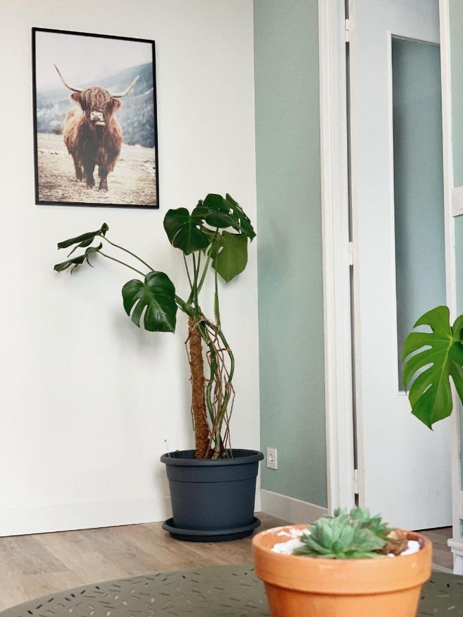 T2 Moderne Au Coeur Poitiers Apartment ภายนอก รูปภาพ